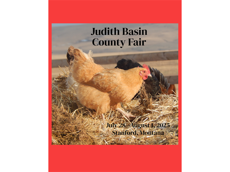 Logo for 2025 Judith Basin County Fair