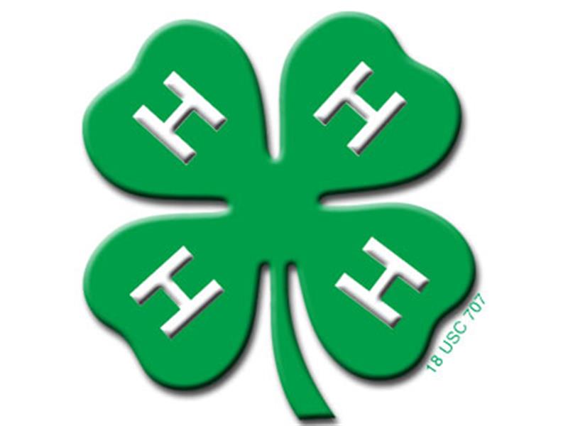 Logo for 2025 Tolland County 4-H Fair