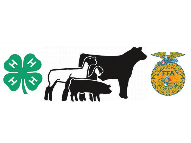 Logo for 2025 Wood County 4-H and FFA Summer Showcase