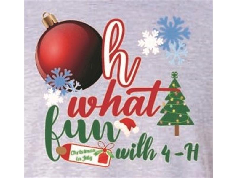 Logo for 2025 Wabaunsee County Fair