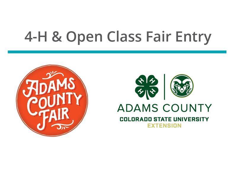 Logo for 2025 Adams County Fair