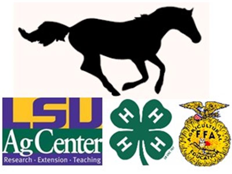 Logo for 2025 Northeast District Horse Show