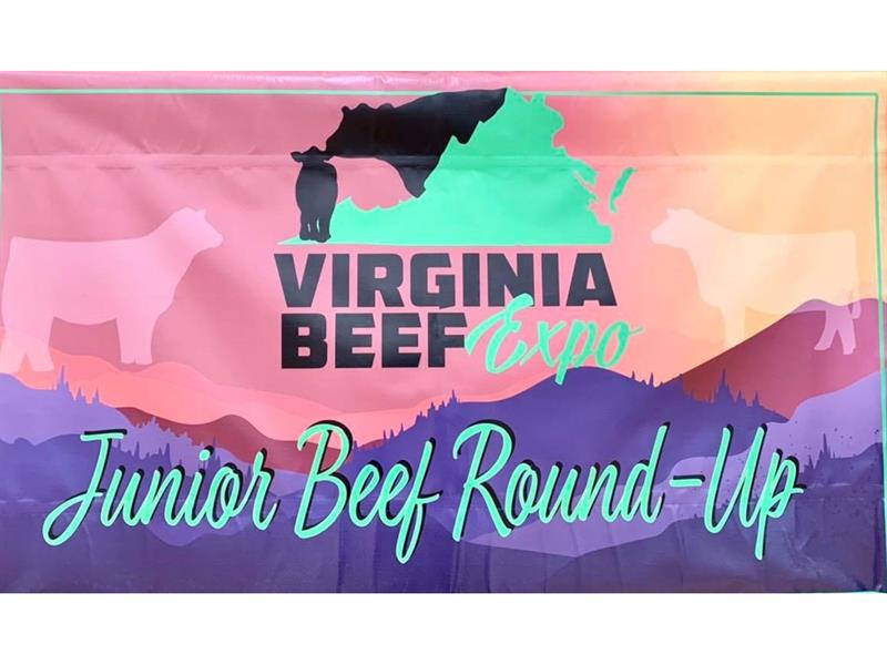Logo for 2025 Virginia Junior Beef Roundup
