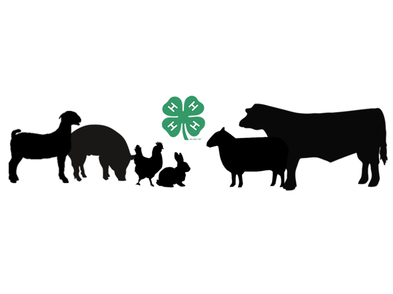 Logo for 2025 Jones/Mellette County Achievement Days