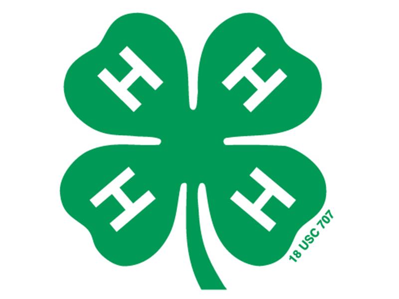 Logo for 2025 Miner County 4-H Achievement Days