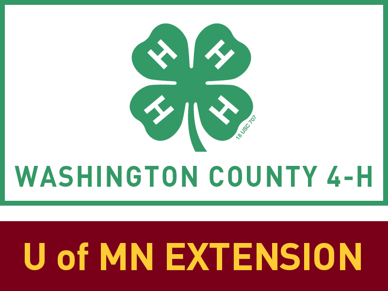 Logo for 2025 Washington County Fair