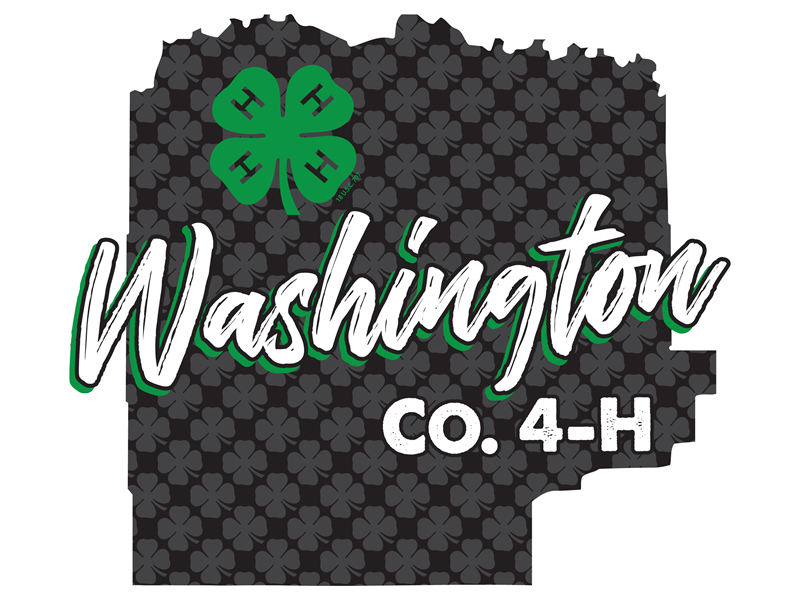 Logo for 2025 Washington County Fair