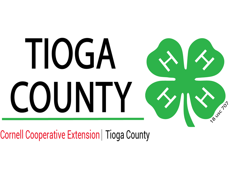 Logo for Tioga County Fair 2025