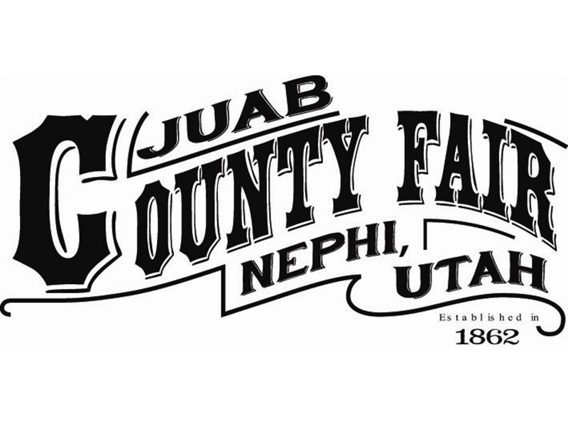 Logo for 2025 Juab County Fair